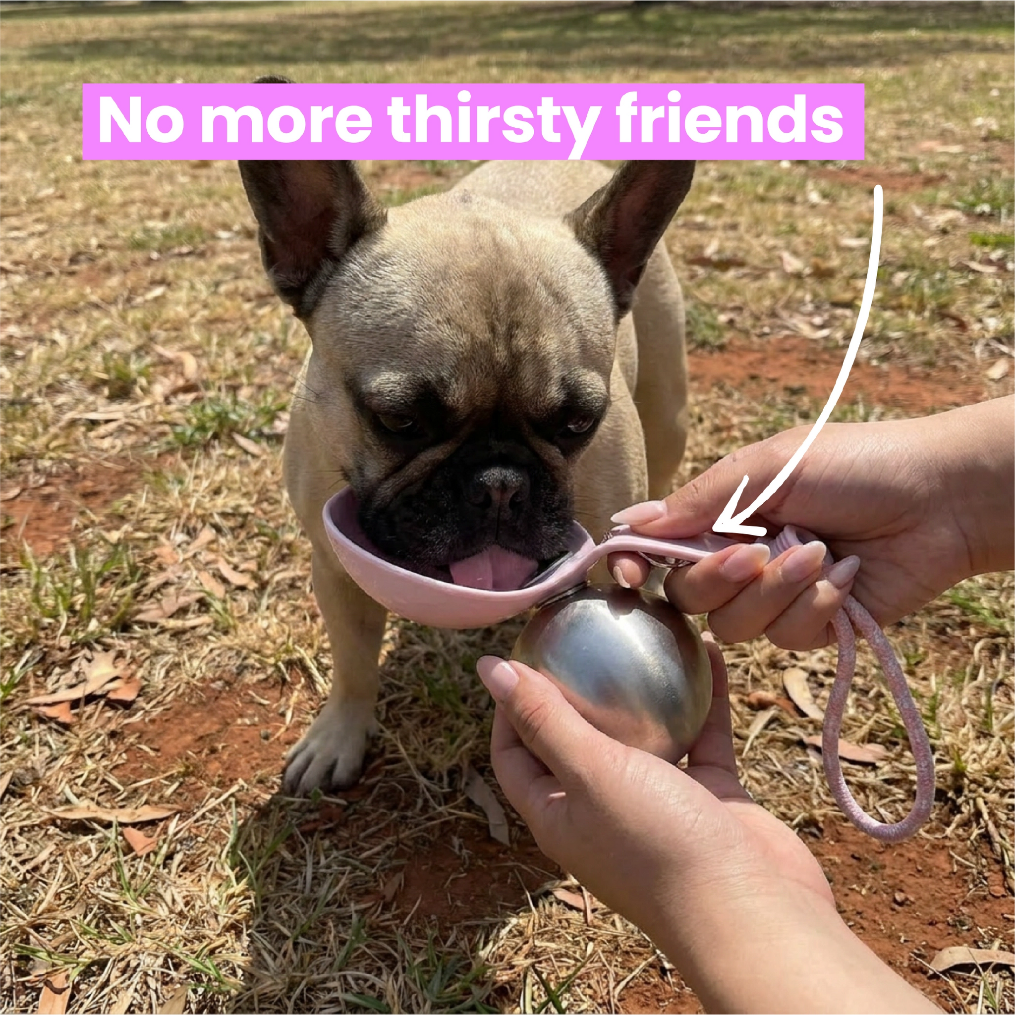 The Pawb™ Pet Bottle