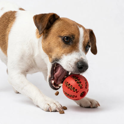 Pawb™ 2-in-1 Treat Ball