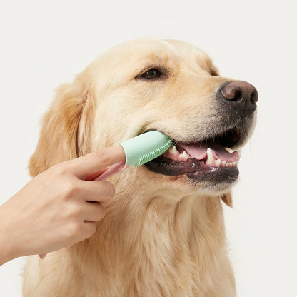 Pawb™ 2-in-1 Cleaning Brush